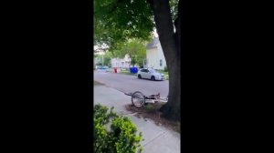 Смешные видосики