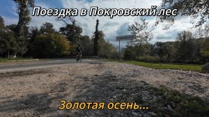Поездка в Поскоровский лес. Золотая осень
