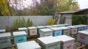 Вдали от городского шума