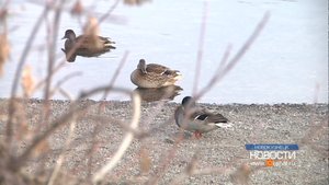 Водные маршруты закрыты для движения