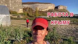 Работа в теплице/ цапаем асфальт 🤣/ сажаем клубнику