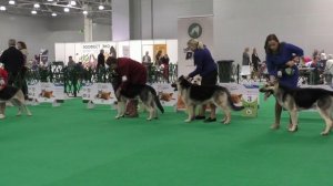 Расстановка КЮ