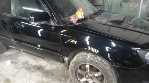 СУБАРУ Форестер : РЕМОНТ ЗАДНИХ АРОК,ПРОЕМА,ПОЛИРОВКА