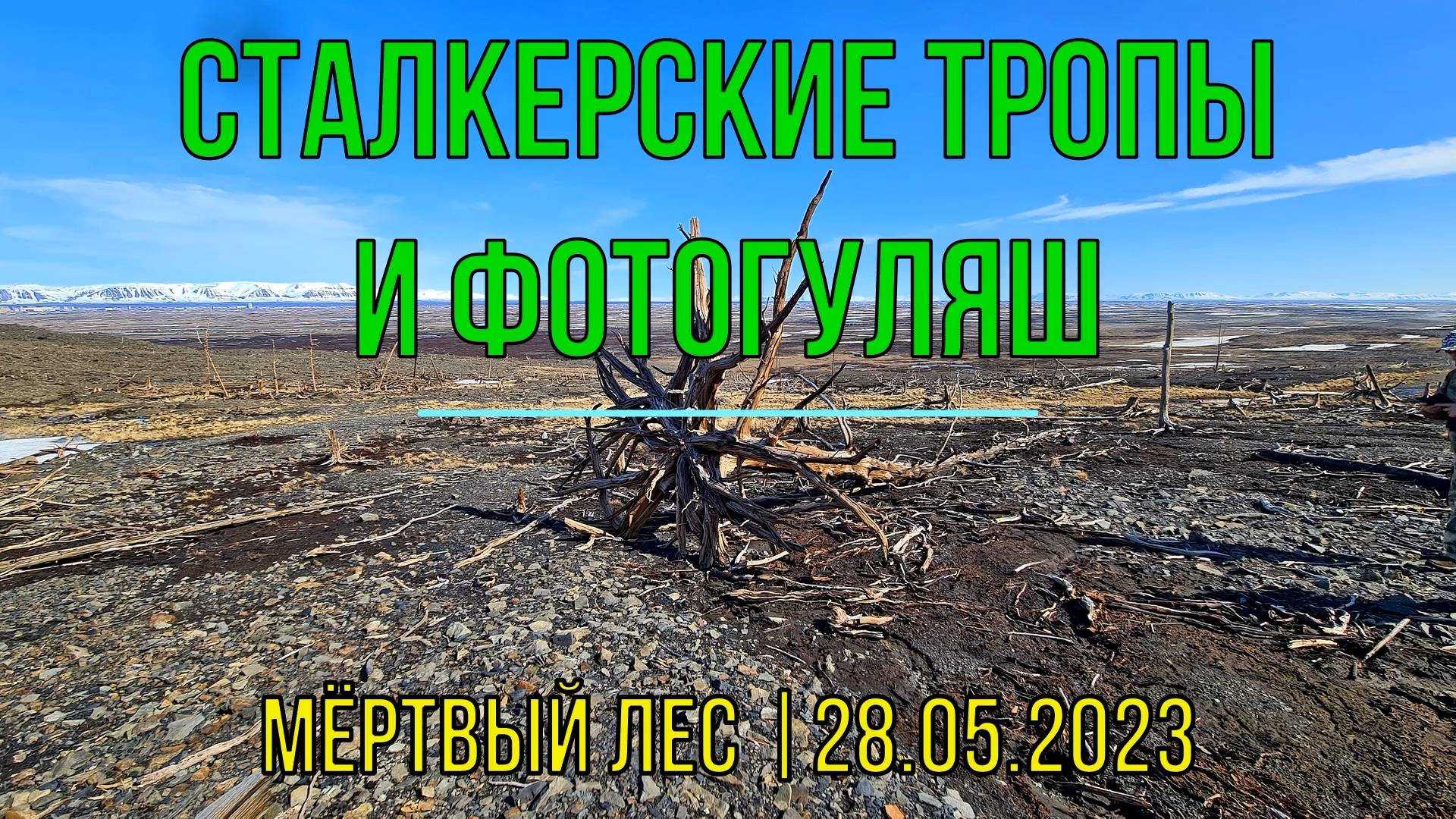 Идём в Мёртвый лес | Норильск | 28.05.2023