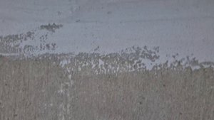 Д. Федоскино. Была чистка колодца до нас три недели рукажопы рулят. podkapaev.ru