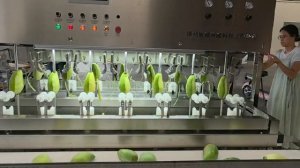 Машина для очистки манго