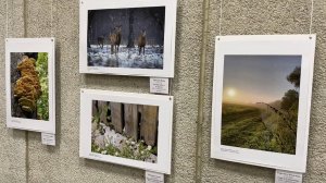 Фотовыставка "Территория успеха: в объятиях природы". Работы финалистов конкурса. Октябрь 2025 г.