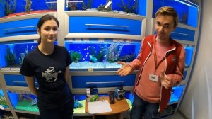 GH010299 Выбор кормушек для аквариумистики