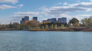 Штрихи осени на Дону Ноябрь 2025