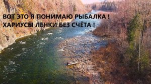 Дикая ТАЙГА. Живём в палатке. Столько рыбы я ещё не видел ! ХАРИУСЫ ЛЕНКИ горная река Анюй