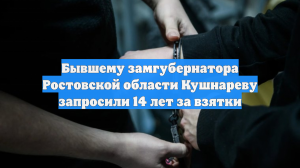 Бывшему замгубернатора Ростовской области Кушнареву запросили 14 лет за взятки