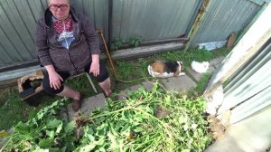 Влог от 02.09.2021