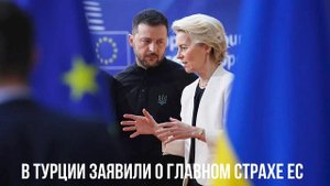 В Турции заявили о главном страхе ЕС