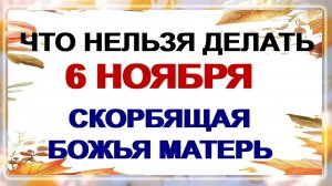 6 ноября. Праздник иконы Божией Матери «Всех скорбящих радость» Что можно и нельзя делать.