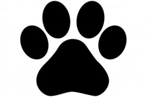 распаковка