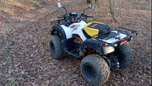 Покатушки на Kayo au150 по осеннему лесу.