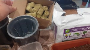 06.11.2025 Покупки для растений и планы на новую живность.