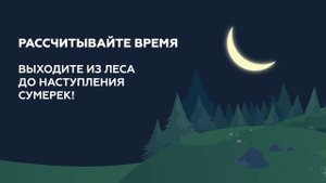 Поход в лес