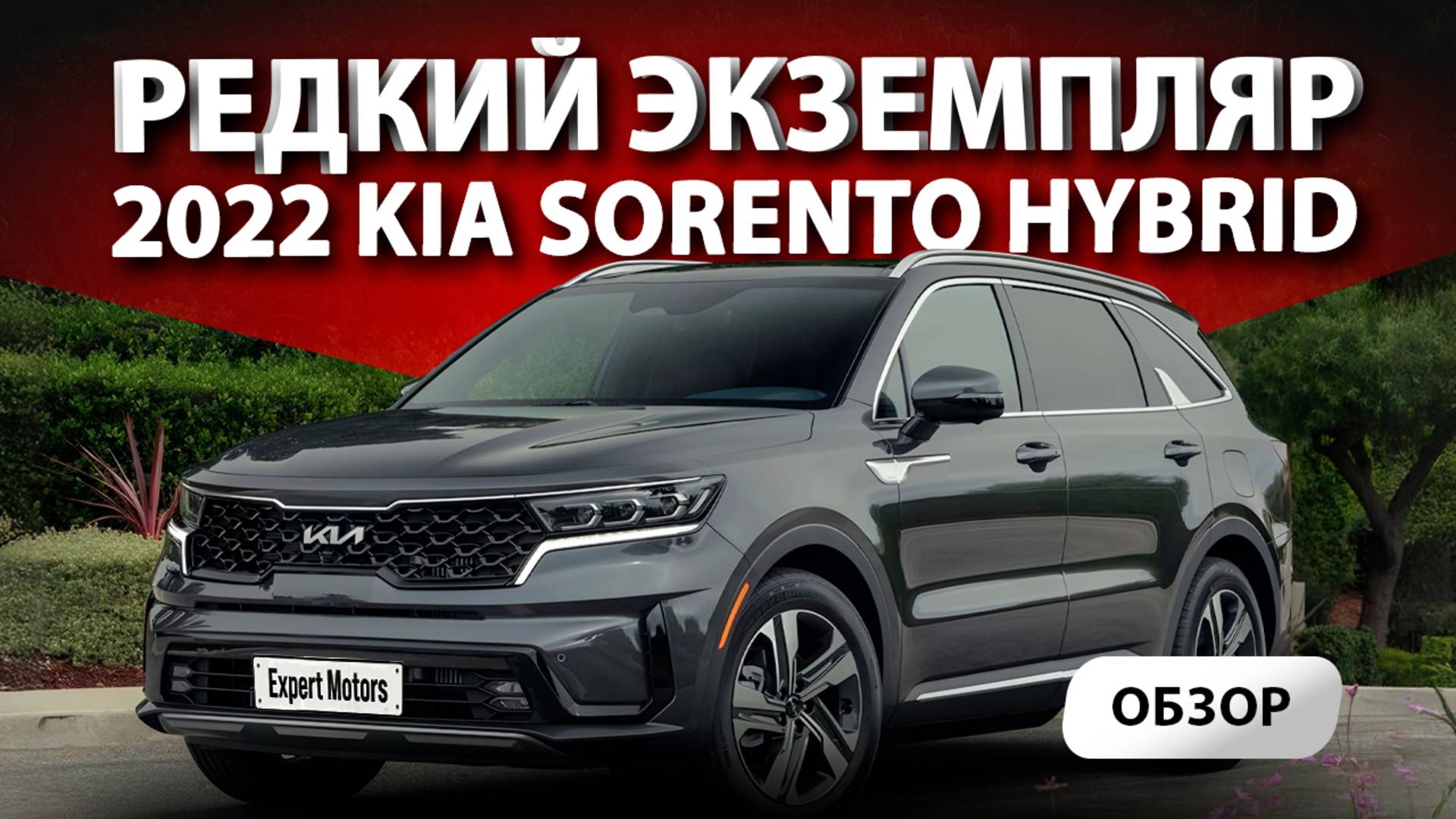 🚛 Привезли из Америки 2022 Kia Sorento Plug-In Hybrid SX Prestige. Довольно редкий экземпляр!