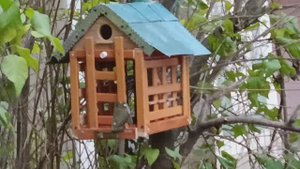 Доброе утро всем ☕