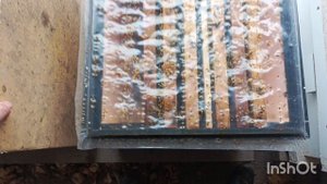 Обстановка у пчёл как сидят.