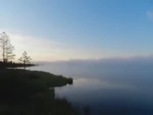 ДОМИК у заброшенных болот...