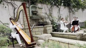 Классическая музыка на свадьбу.Арфа,скрипка и виолончель