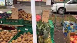 Украина 5 ноября 2025 ЛЮДИ ВЫШЛИ ОЧЕРЕДИ ГРЕБУТ ВСЕ Что происходит в Киеве сегодня