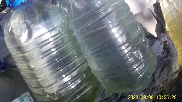 ВОДА ИЗ СВЯТОГО ИСТОЧНИКА ПО ЗЕЛЕНЕЛА