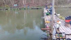 Поплавок паста