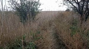 Отдых, улов и поработали на славу.