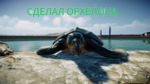 СДЕЛАЛ ОГРОМНУЮ ЧЕРЕПАХУ