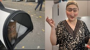 ЛИКА В ГОСТЯХ ❤️ С ЮРОЙ В ВЕТЕРИНАРКУ😁 ЧТО СКАЗАЛ ДОКТОР 🤔 НОВОСТИ С РАБОТЫ 😞