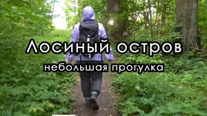Небольшая прогулка по парку "Лосиный остров". От ст. Белокаменной до Открытого шоссе.