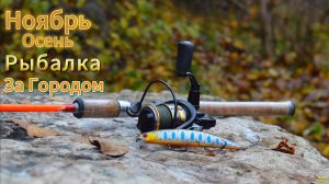 НОЯБРЬ РЫБАЛКА ПОИСКИ ХИЩНИКА ЩУКИ ОКУНЯ НА ВОБЛЕРЫ УЛОВИСТАЯ ПРИМАНКА НА ДЖИГ РИГ ОТВОДНОЙ ДРОПШОТ