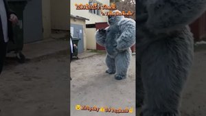 12.10.2025. г.Томск. "Сюрприз от друзей".