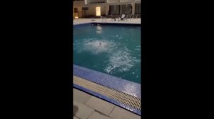 бесплатные самые смешные видео