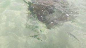 Прилив 05.11.25