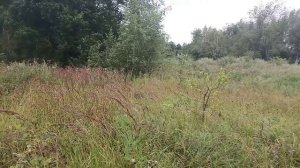 харламово 516