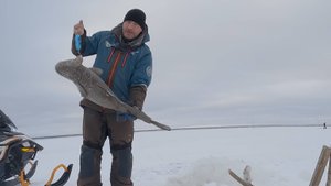 Проверка перемета от А до Я | 04.11.2025