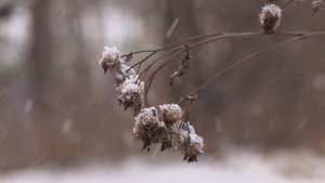 «БЛОК КОРОТКИХ НОВОСТЕЙ» 05.11.2025
