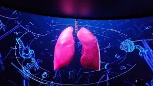 Гостиный Двор(Москва 2030,20.08.2024)