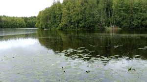 Трофеи и дары от Природы в ходе прибрежных пеших походов.