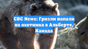 CBC News: Гризли напали на охотника в Альберте, Канада