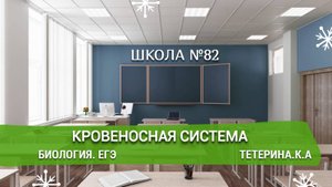 Кровеносная система. Биология. Тетерина.К.А