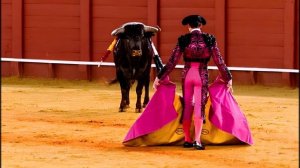 Тореро (Ария cover)