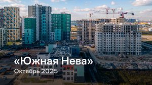 «Южная Нева» / октябрь 2025