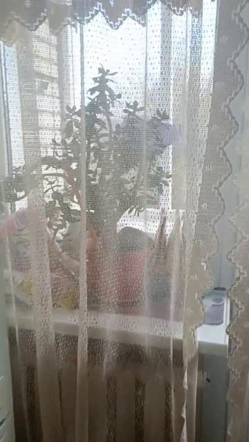 Продажа недвижимости смотреть онлайн