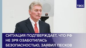 Ситуация подтверждает, что РФ не зря озаботилась безопасностью, заявил Песков
