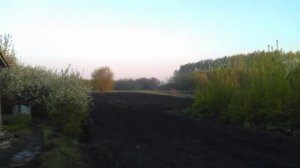 Утро в деревне. Morning in countryside